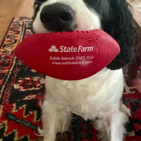 Happy National Dog Day! Edith Aldrich State Farm