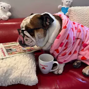 Are you as comfortable with your coverage as Piper is in her robe?  Call or message me for a quote or review so you too can have the peace of mind of great coverage with a great Agent!