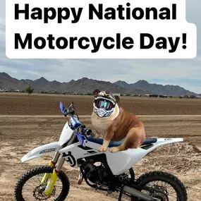 Piper is practicing motorcycle safety by wearing a helmet! Always be safe out on the road and make sure you have the proper coverages for your bike!