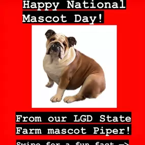 Happy National Mascot day from our lovely mascot Piper! Come say hi to her in the office and review your insurance today!