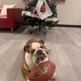 Linda Gomez Dyster - State Farm Insurance Agent
Are you enjoying football season?? Piper is! Fall is also here and we can’t wait for cooler weather!