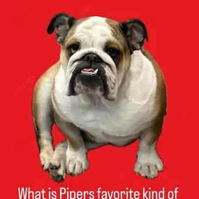 Happy National Joke Day from the Linda Dyster State Farm crew! Come by the office today to say hi to Piper and review your policies!