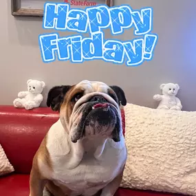 For National Positive Thinking Day, Piper is here to remind all of you to always find the paw-sitive side of things and have a pawsome Friday! Don’t forget to call into the office today and schedule your insurance review appointment!
#postivethinking #bulldogsofinstagram #statefarm #autoinsurance #lifeinsurance #homeinsurance
— at Linda Gomez Dyster, State Farm Insurance Agent.