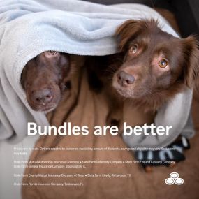 Bundling just feels good, especially when it can save you money. Contact me to create a Personal Price Plan® for your home and auto insurance.