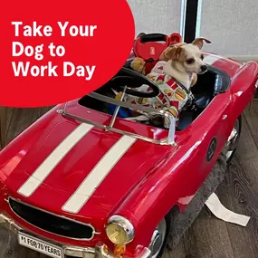 It's one of the best days of the year — it's Take Your Dog to Work Day! Put your paws in the air and celebrate all of the amazing work companions today!