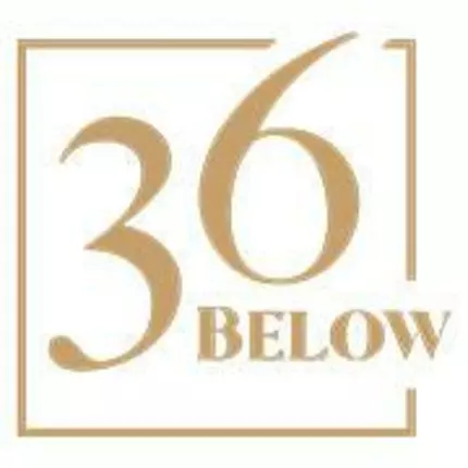 Logo de 36 Below