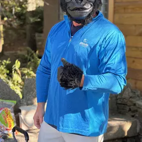 Boo at the Zoo