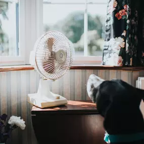 Summer heat can do more than make you sweat—it can strain your electrical system. If an overworked AC unit causes a fire or power surge, your home insurance may help cover the damage. Katie Pullen: Allstate Insurance in Newark, NY is here to help you understand what’s protected before the next heatwave rolls in.

Click the Photo for Summer Safety Tips