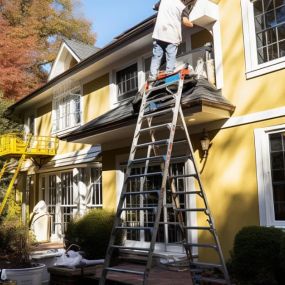 Reliable House Painter
