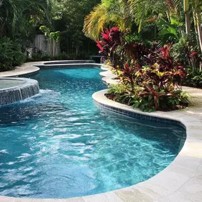 freeform pool in a tropical backyard setting