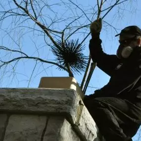 Bild von America One Chimney Sweeps
