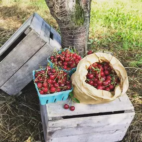 Bild von Orbaker's Farm Market