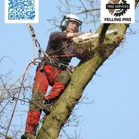 Bild von Essex Felling Pro