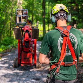 Bild von Woodman Tree Service