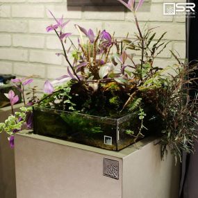 SR Aquaristik supplies premium, low-iron rimless aquariums known for exceptional quality and complemented by our architectural cement aquarium stands.
