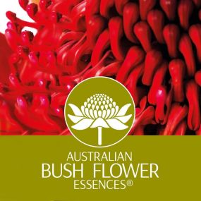 Bild von Barbara Rossi Consulente Certificato Fiori di Bach BFRP e Australian Bush Flower Essences