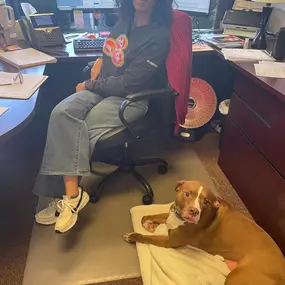 We’re thrilled to welcome Miss Sadie to the crew at Joe Sarrio State Farm! She’s joining some incredible four-legged friends, and what better day to introduce her than National Love Your Pet Day? It’s safe to say she’s already stolen our hearts!