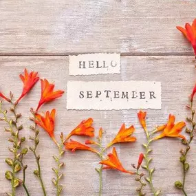 A new month means fresh opportunities to set goals, refocus, and prepare for the season ahead. Just like fall reminds us to trade in summer sunshine for crisp evenings, it’s also a great reminder to review your insurance needs.