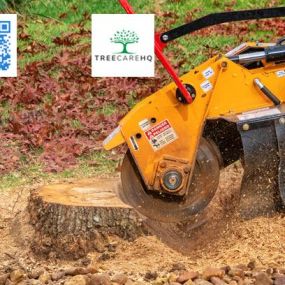 Tree stump grinding and removal service