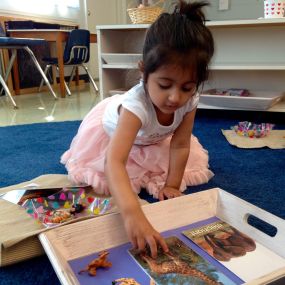 Montessori learning