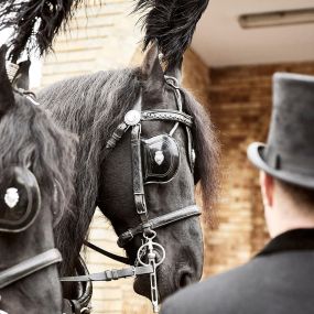 Hammerton’s Funeral Directors horse drawn hearse