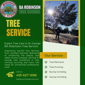 Arborist inspecting tree health in St. George, UT provided by BA Robinson Tree Service