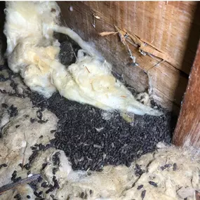 Bild von A House on a Rock Home Inspections LLC