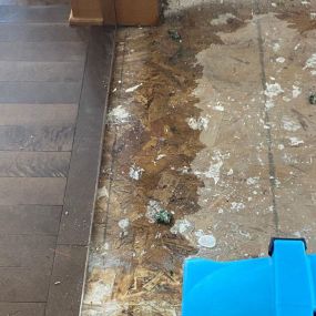 Pictured here is water damage in the subflooring in a Siren Wisconsin kitchen.  It is critical to pinpoint the water source before we engage in water damage restoration.