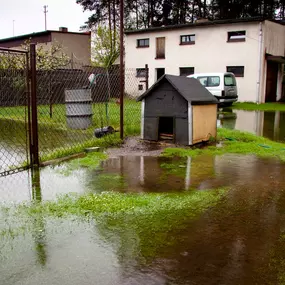 3 Reasons a Rapid Response is Critical for Basement Water Damage in Siren Wisconsin.