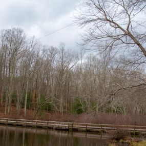 Bild von YMCA Camp Thunderbird