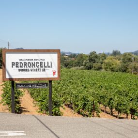 Bild von Pedroncelli Winery