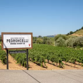 Bild von Pedroncelli Winery