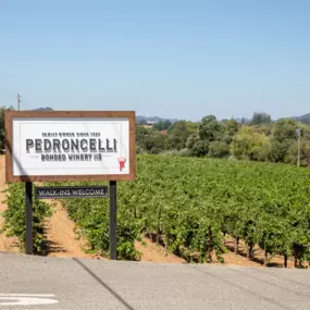 Bild von Pedroncelli Winery