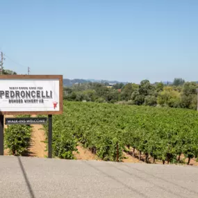 Bild von Pedroncelli Winery