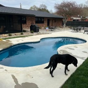 Bild von Casey's All American Pool Company