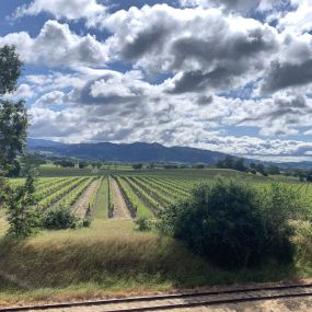 Bild von Trione Vineyards and Winery