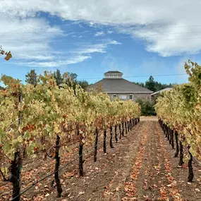 Bild von Trione Vineyards and Winery