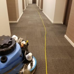 Elevate Cleanliness: Top-Tier Carpet Cleaning, Silver Spring, MD