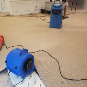Deep Clean Excellence: Carpet Cleaning in Silver Spring, MD, USA