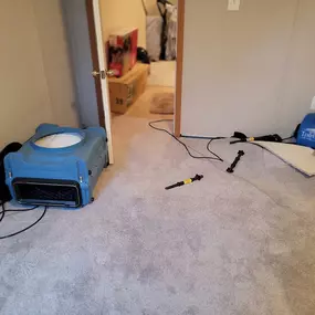 Water‑stained carpet cleaned and dried Potomac Maryland home