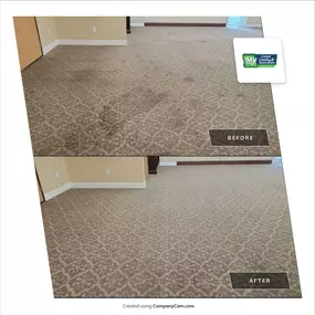 Bild von My Carpet Cleaning & Restoration Service