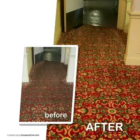 Potomac Maryland carpet cleaning eliminating hidden odors