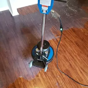 Unveiling Clean Elegance: Carpet Cleaning Services, Silver Spring, MD