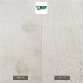 Bild von My Carpet Cleaning & Restoration Service