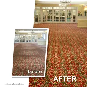 Bild von My Carpet Cleaning & Restoration Service
