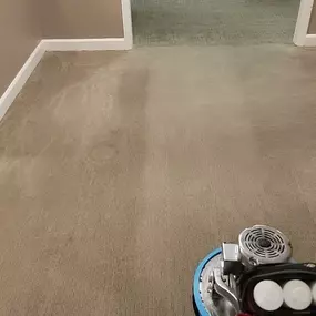 Non‑toxic carpet cleaning family friendly Silver Spring Maryland