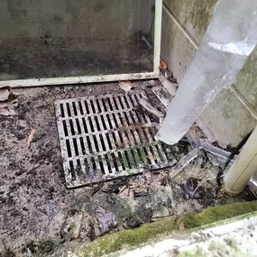 Carpet lifted, cleaned and dried after flood damage in Bethesda home.