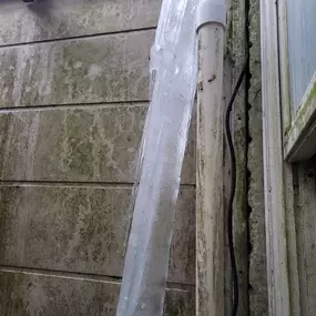 Insurance documented water damage carpet cleanup Silver Spring Maryland