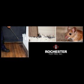 Bild von Rochester Pest Pro