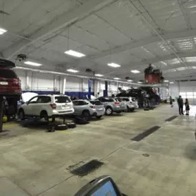 Bild von First Team Subaru Norfolk